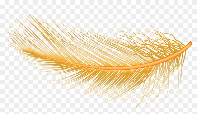 View Full Size - Macro Photography Clipart #5663454