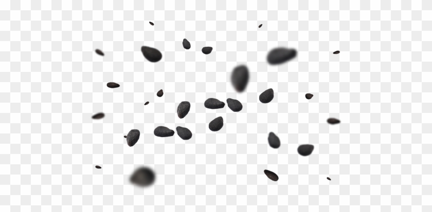 Lactasoy Black Sesame - Monochrome Clipart #5663583