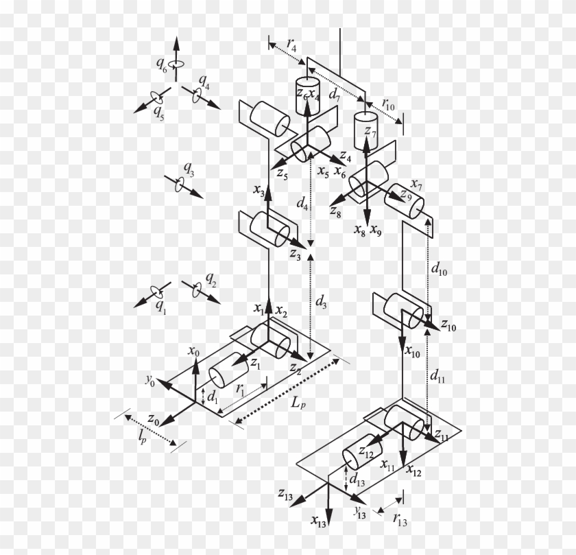The Multi-body Model And Link Frames Of The Bipedal - Robot Human Multibody Control Joint Clipart #5663852
