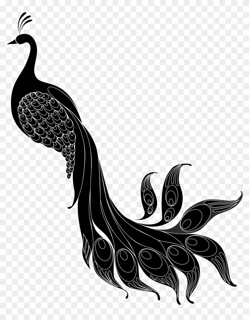 Png B/w - Illustration Clipart