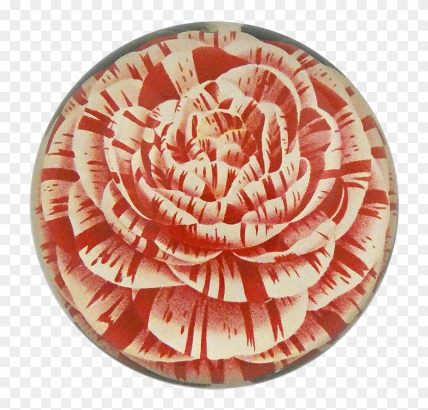 Circle Clipart #5664903