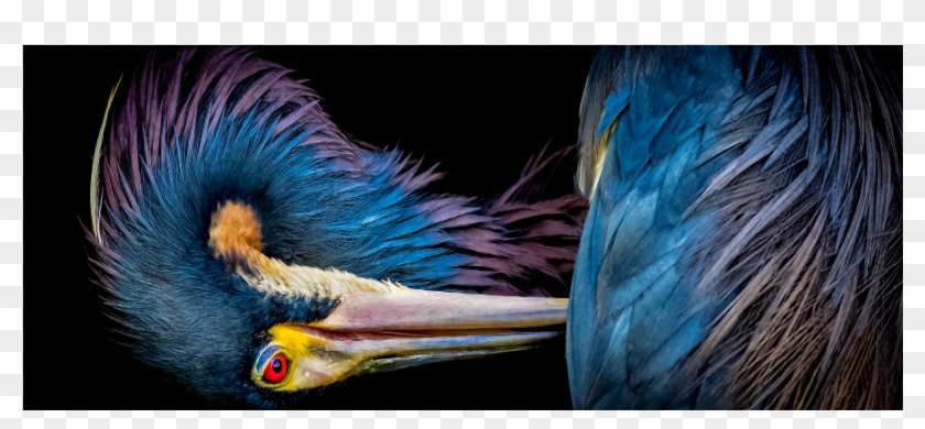 Creative Arts Clipart