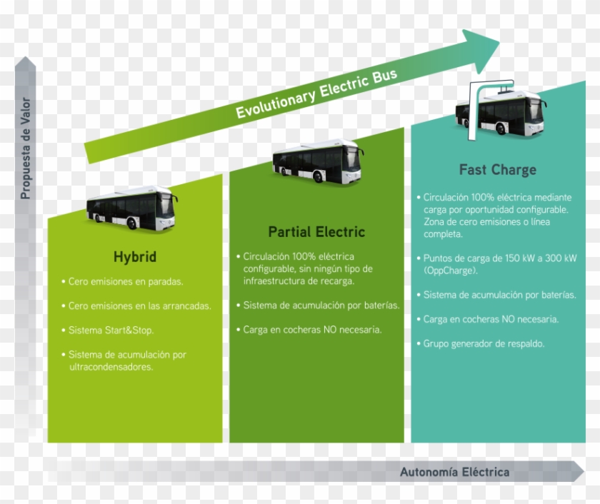 12345 - Flyer Clipart