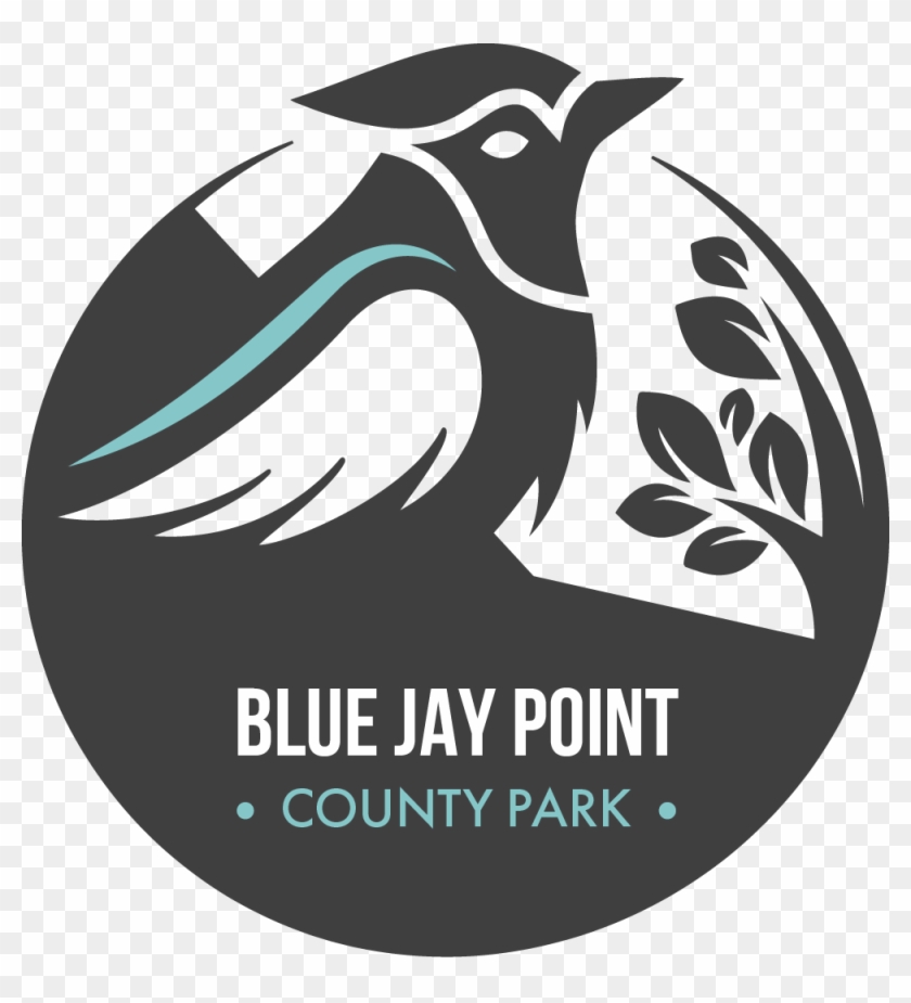 Bjp Transparent - County Sports Partnership Network Clipart #5667935