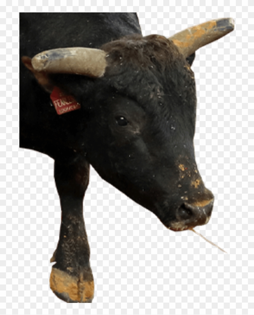 World Rank - Bull Clipart #5668614