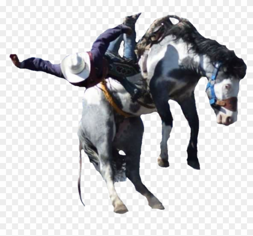 Cascade Rodeo@yahoo - Com - Stallion Clipart #5669003