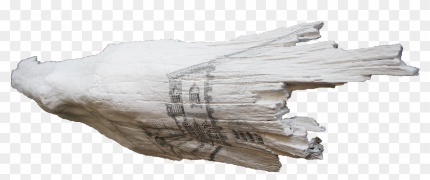 “the Real Voyage Of Discovery Consists Not In Seeking - Driftwood Clipart