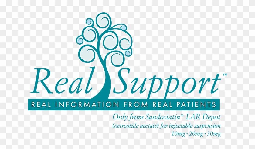 Realsupport™ - Graphic Design Clipart