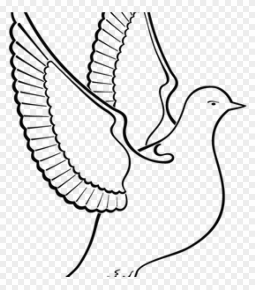 Share - - Kus Resmi Boyama Sayfası Clipart