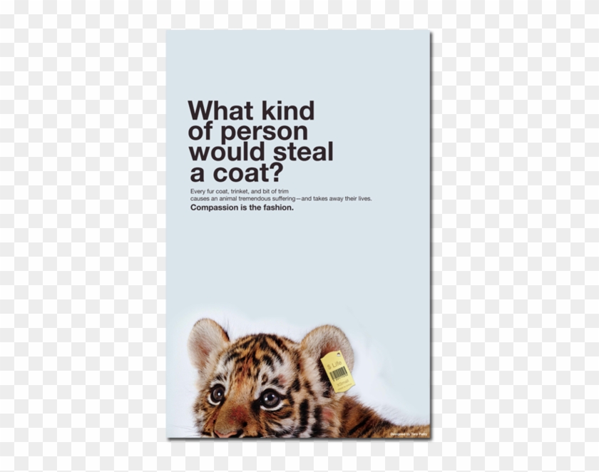 Animal Rights Posters - Animal Rights Poster Ideas Clipart #5676840