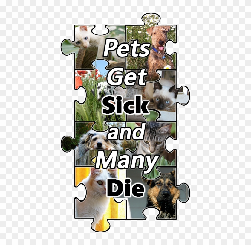 Every Other State Actively Supports Businesses That - German Shepherd Clipart #5677051