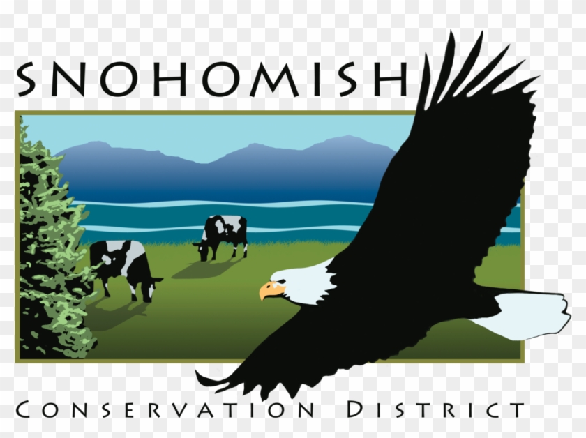 Sno - Snohomish Conservation District Clipart #5677406