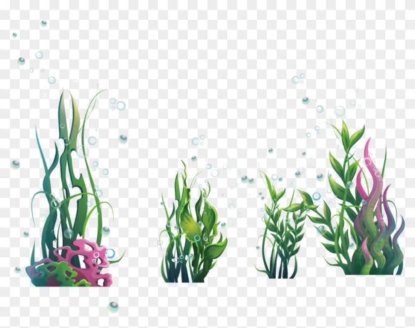 Algae Seaweed Ocean - Marine Algae Png Clipart #5677575