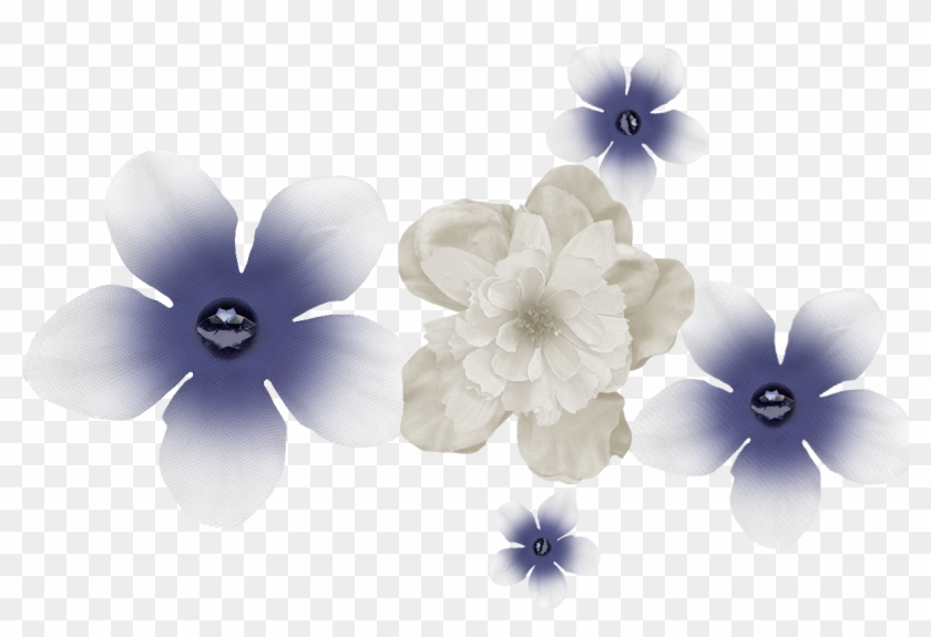 ＊nori Store Where We Always Buy＊ - Forget-me-not Clipart #5678407