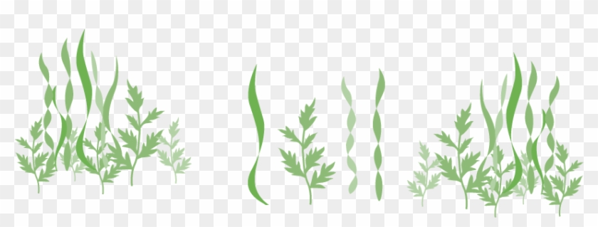 Sea Plant Icon Png Clipart #5678473
