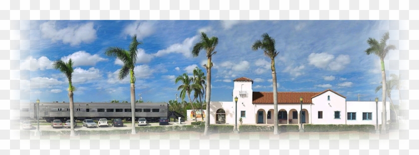 Peter Lorber - Attalea Speciosa Clipart #5678478