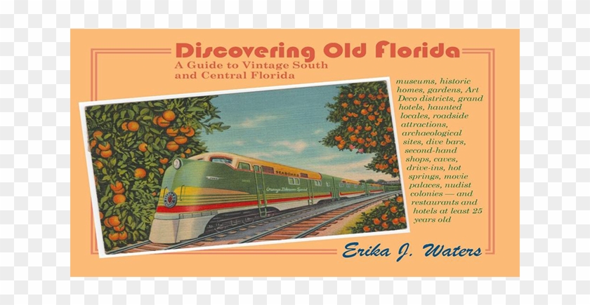 Discovering Old Florida - Tree Clipart #5678631