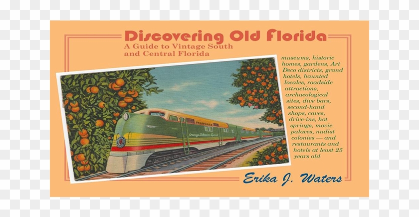 Discovering Old Florida - Tree Clipart