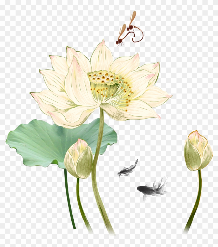Sacred Lotus, Lotus Heals Acupuncture, Ink Wash Painting, - Hoa Sen Trung Quoc Clipart #5679494