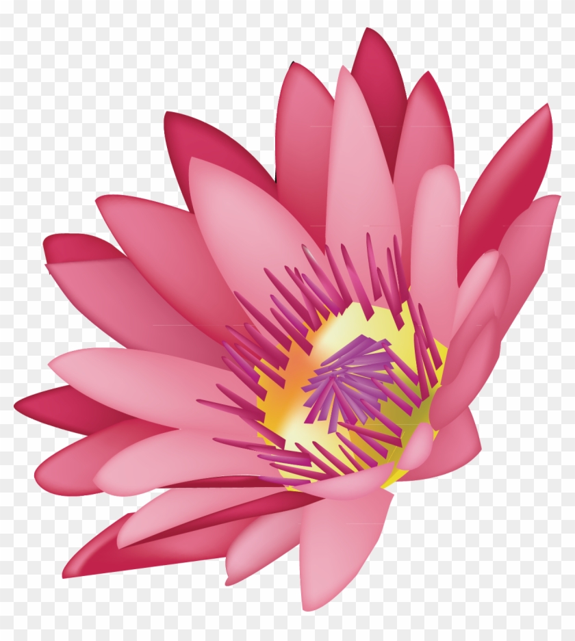 Pink Drawing Lotus Flower - Graphics Clipart #5679555