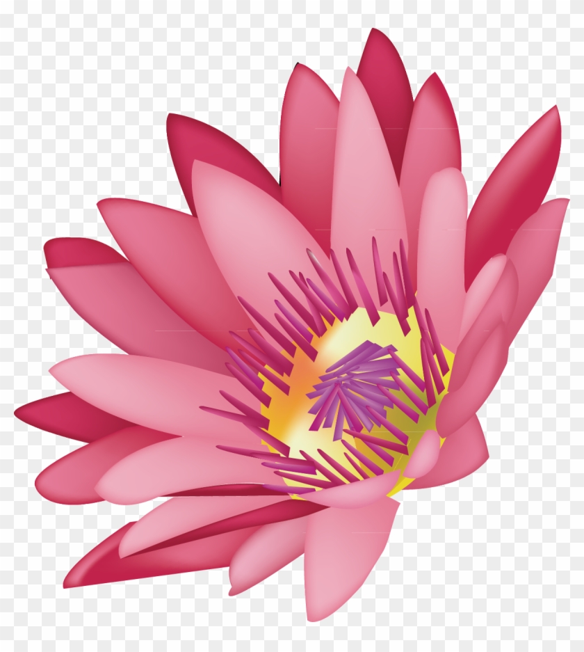 Pink Drawing Lotus Flower - Graphics Clipart #5679555