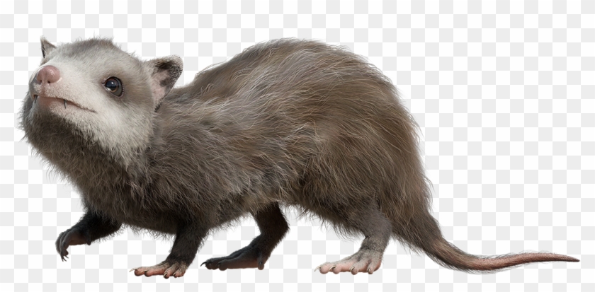 Mammal Png Clipart - Walking With Dinosaurs Mammals Transparent Png #5679845