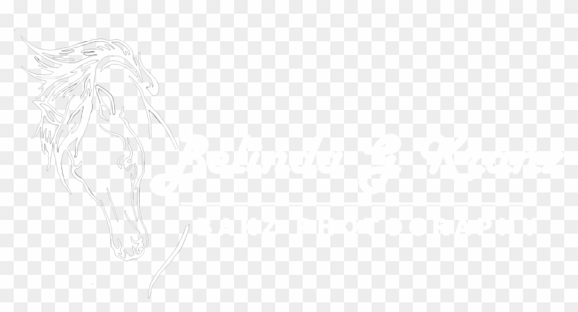 Sketch Clipart #5680345