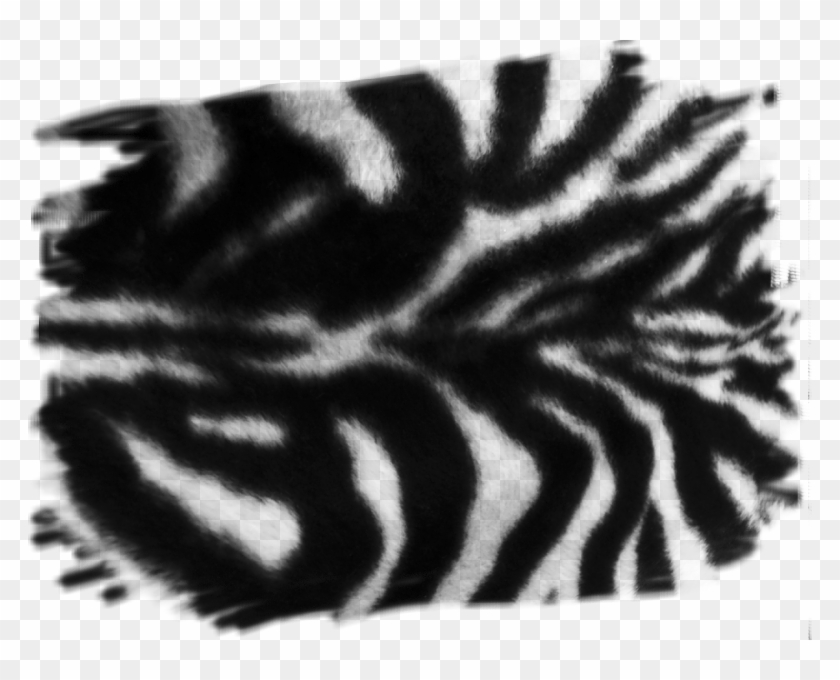 Zebra Stripes - Close-up Clipart