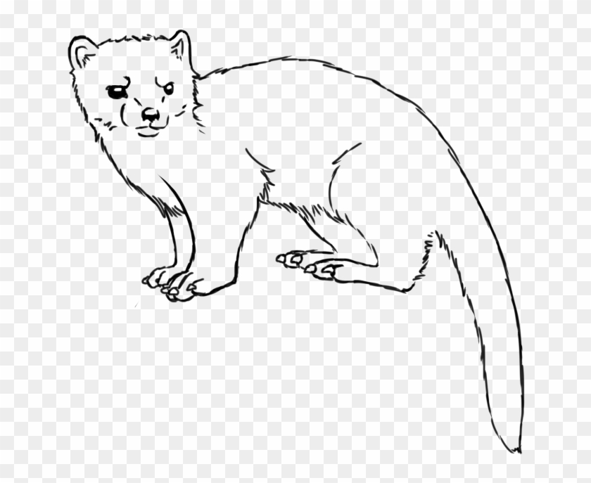 Collection Of Free Weasel Drawing Download On Ui Ex - Line Art Clipart #5680806