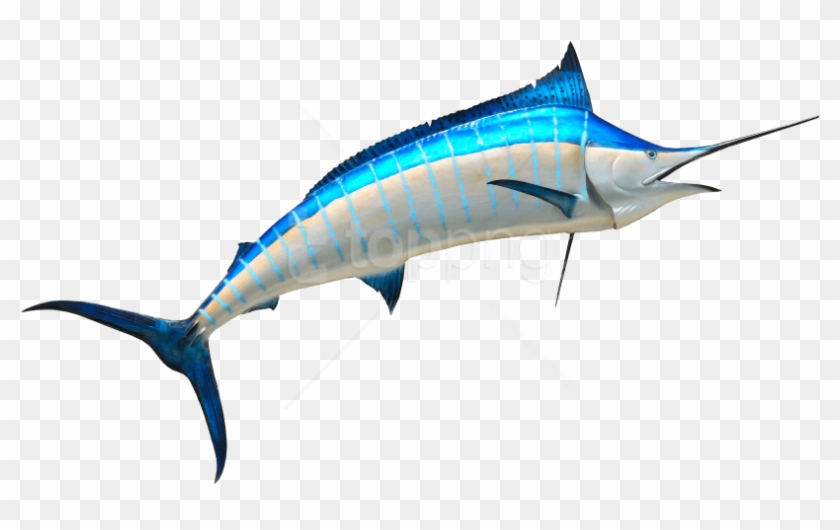 Free Png Fish Png Images Transparent - Swordfish Png Clipart #5681430