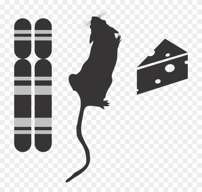 Genotype Phenotype Environment Icon G2p Genotype - Mouse Silhouette Png Clipart #5684157