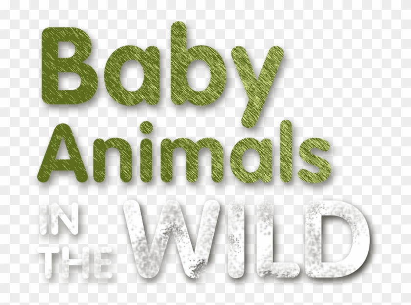 Baby Animals In The Wild - Graphic Design Clipart #5684720
