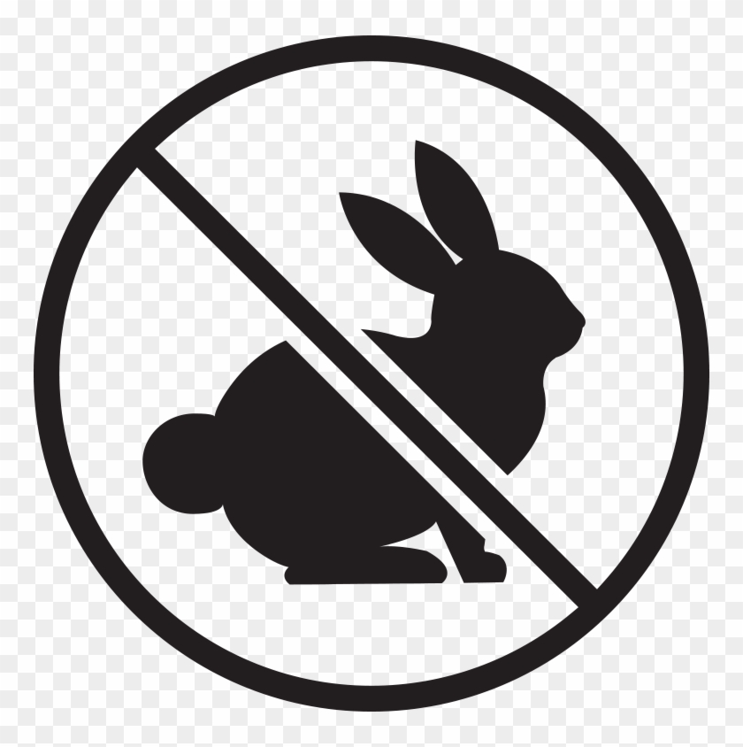 And Not Tested On Animals - No Animal Testing Logo Png Clipart