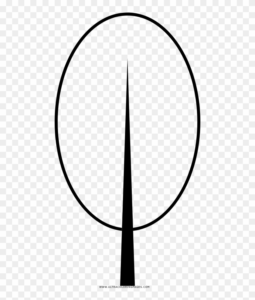 Spring Tree Coloring Page - Primavera Desenho Png Clipart #5684971