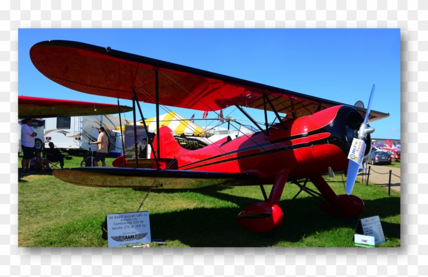 Customized Aircraft Champion Bronze Lindy - Light Aircraft Clipart