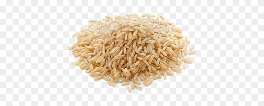 Sodium5 - 0mg - Calories In 300g White Rice Clipart #5685377