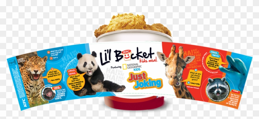 Kfc Bucket Png - National Geographic Kfc Clipart #5686316