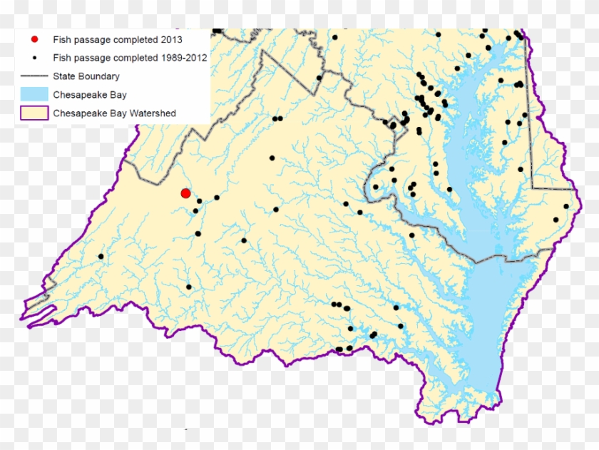 Anadromous Fish Chesapeake Bay Clipart #5686652