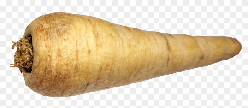 Download Png - Parsnip Transparent Background Clipart