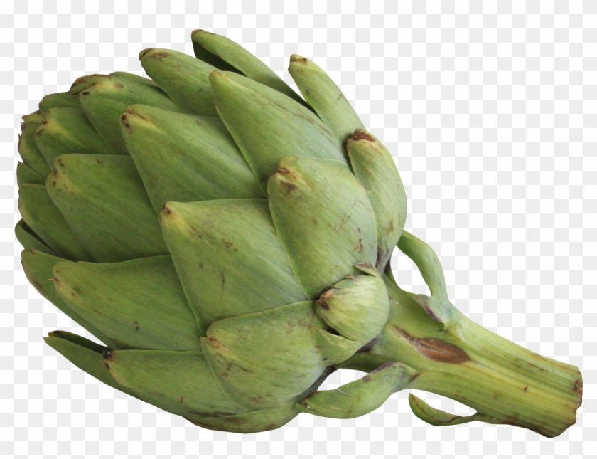 Artichoke - Artichoke Png Clipart #5686805
