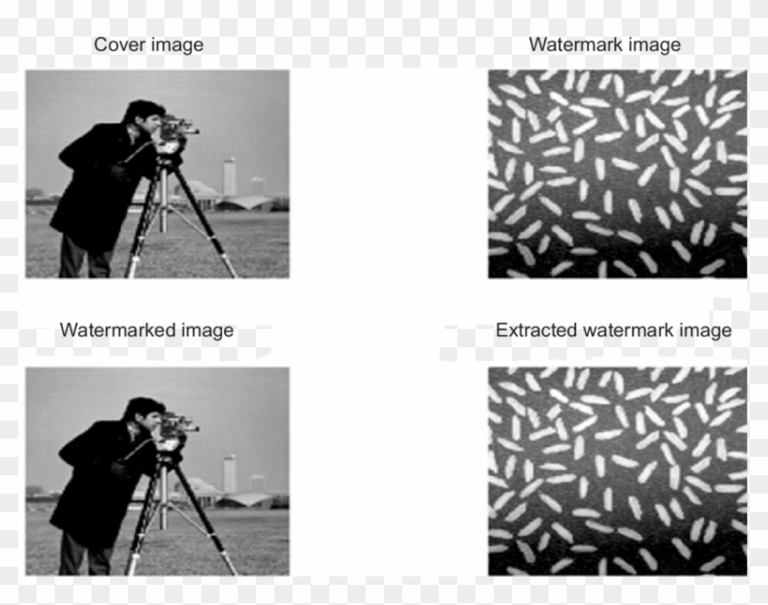 Result Of Proposed Work On Cameraman Image - Monochrome Clipart #5687072