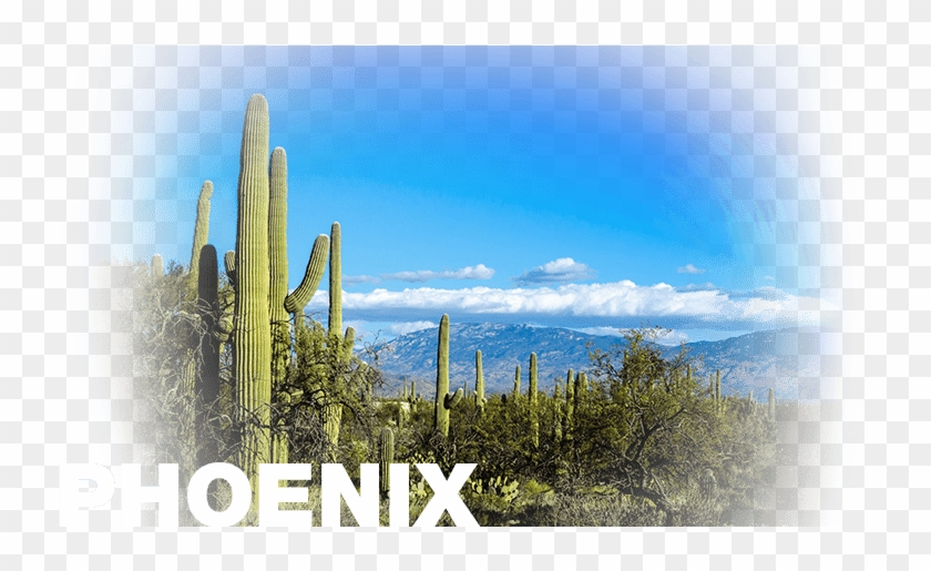 Cameramanhamilton's Desert Scape, 61x41cm - Arizona Clipart