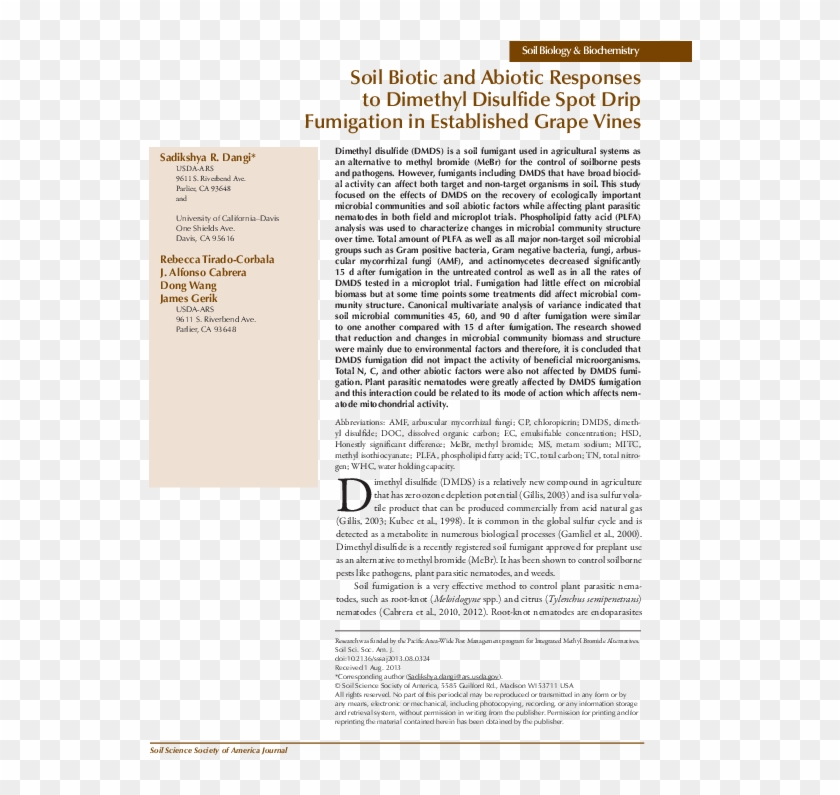 Pdf - Text Page - Holy Land - The Necropolis Clipart #5687908