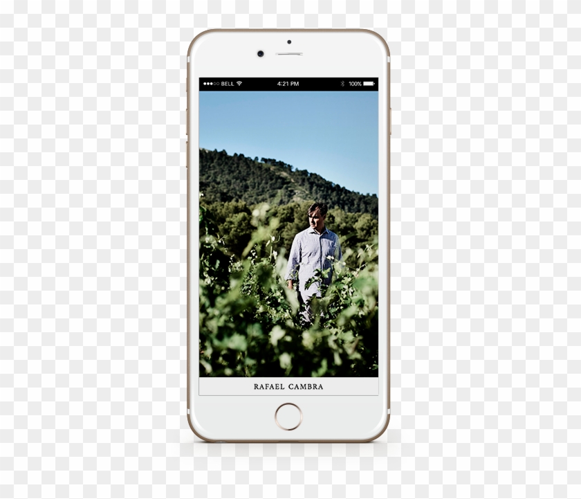 Iphone Clipart #5688513