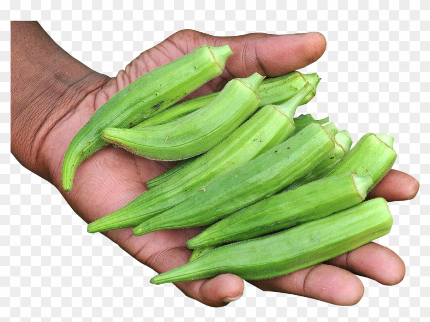 Download Hand With Okra Png Image - Okra Png Clipart