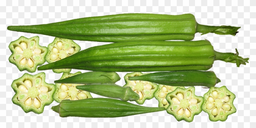Okra, Vegetable, Organic, Harvest, Nutrition - Baba Do Quiabo Clipart