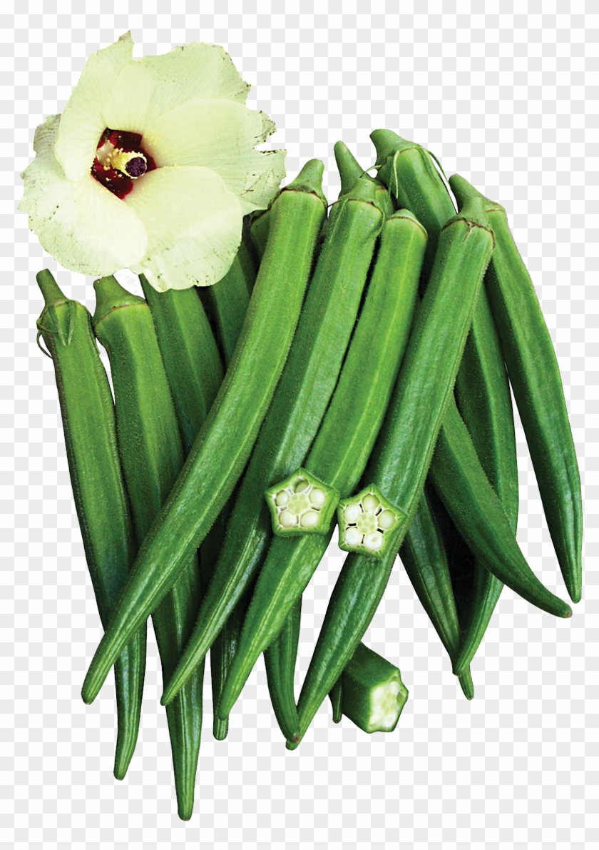 Okra Variety In Many Major Markets - Hybrid Okra Plant Clipart