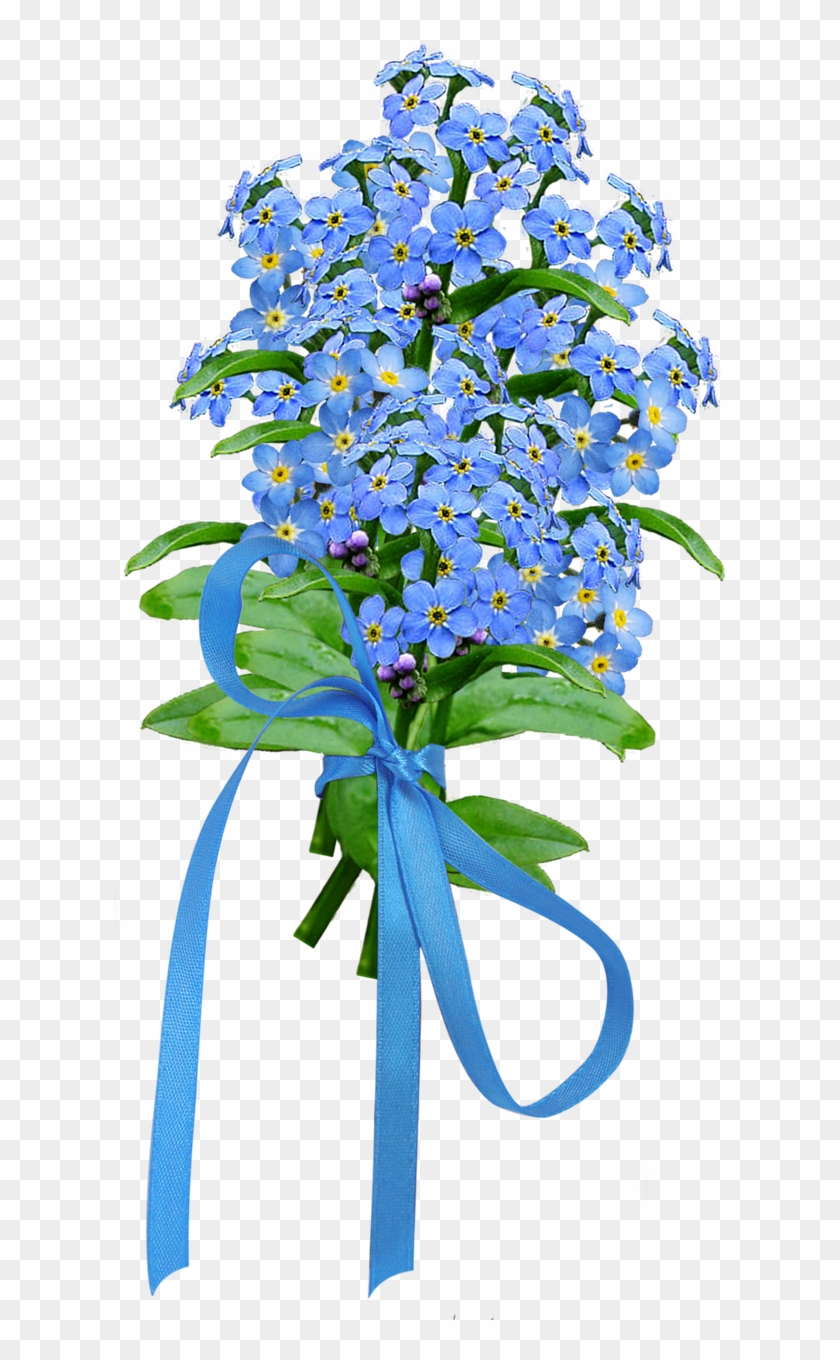 Forget Me Not Png Image - Dayflower Clipart #5689290