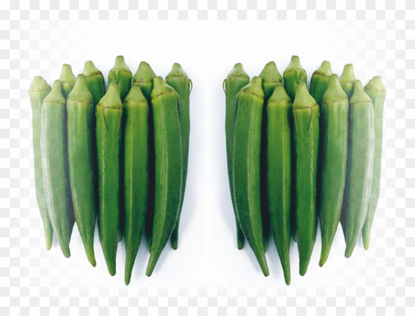 Okra F1 Hb Sundari - Okra Clipart