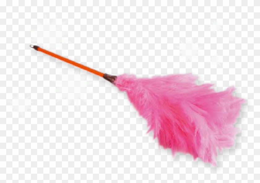 Share This Image - Pink Feather Duster Png Clipart #5689543